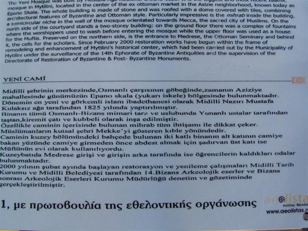 IMG_7741 (Large).JPG