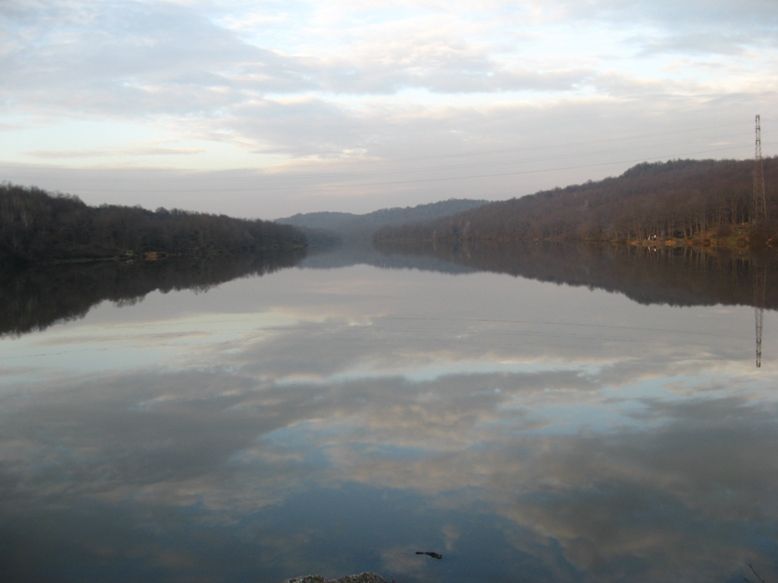 IMG_7767.jpg