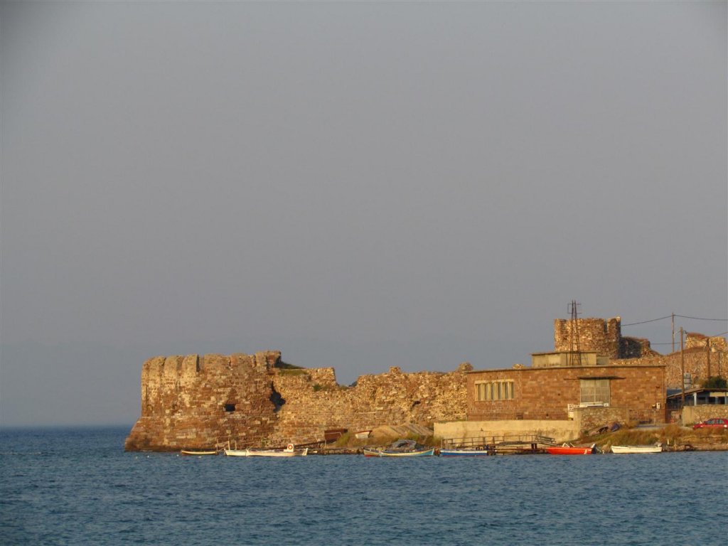 IMG_7768 (Large).JPG