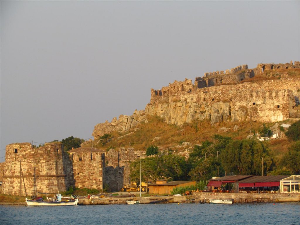 IMG_7769 (Large).JPG