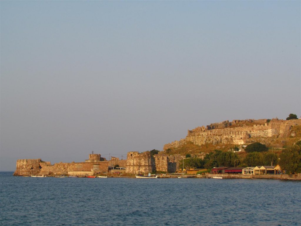 IMG_7770 (Large).jpg