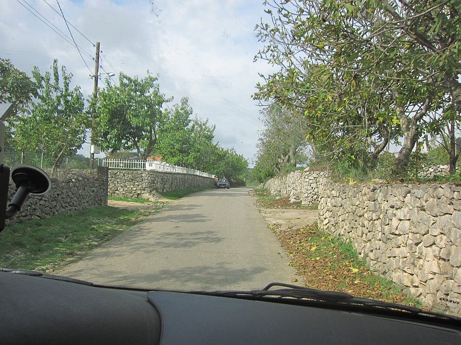 IMG_7817.jpg