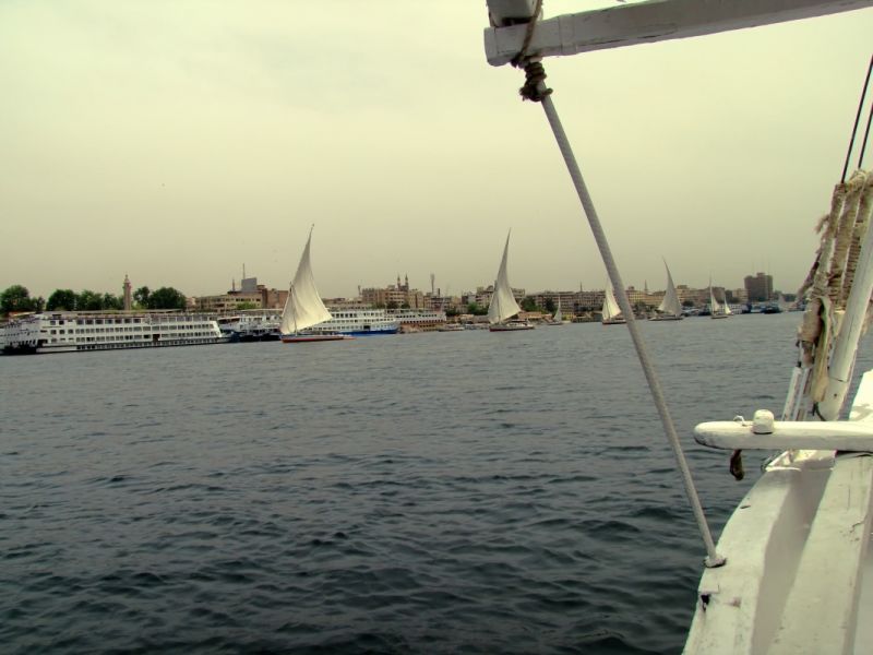 IMG_7830p.jpg