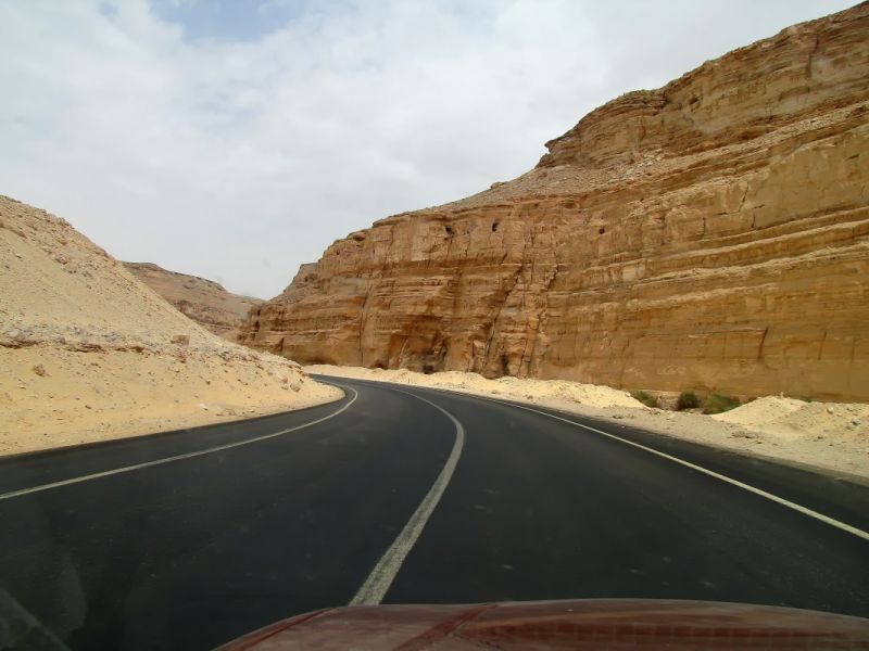 IMG_7847p.jpg