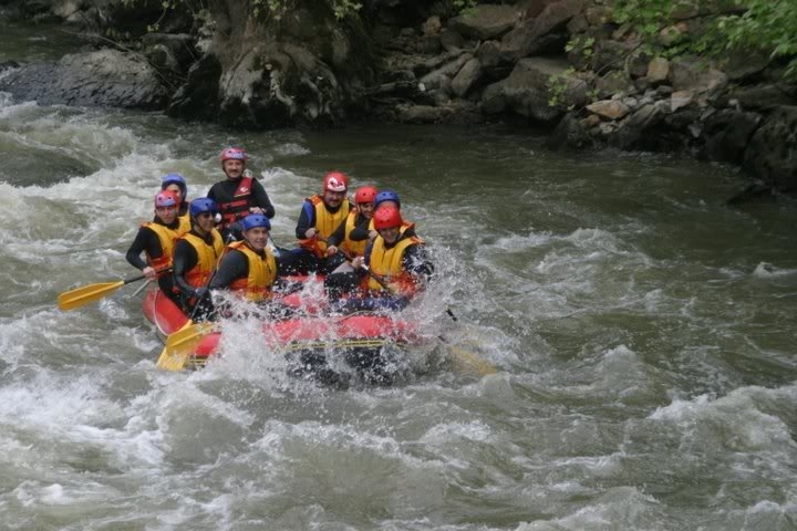 IMG_7855.jpg