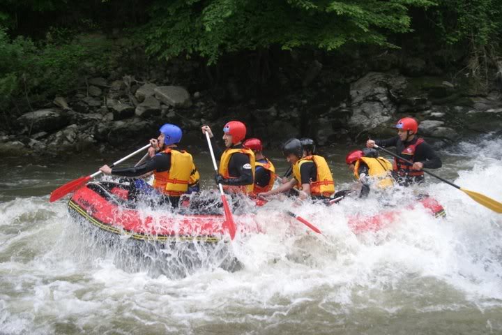 IMG_7875.jpg