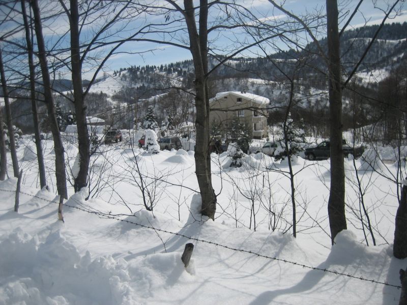IMG_7881.jpg