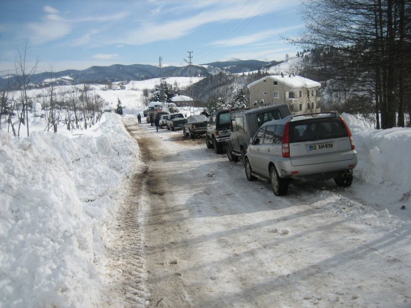 IMG_7882.jpg