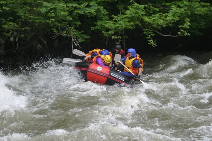 IMG_7889.jpg