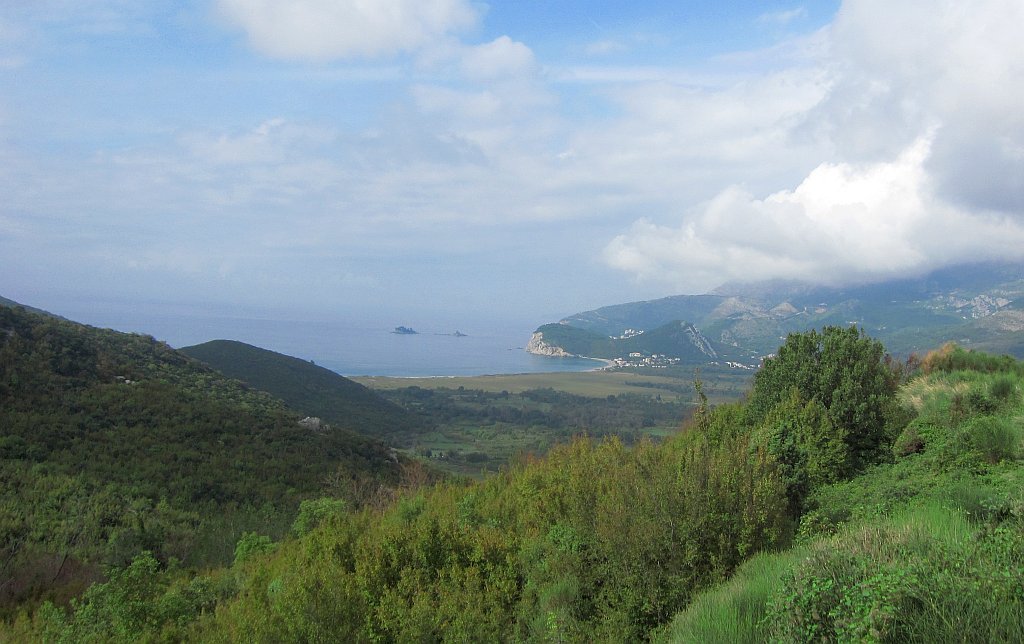 IMG_7893.jpg