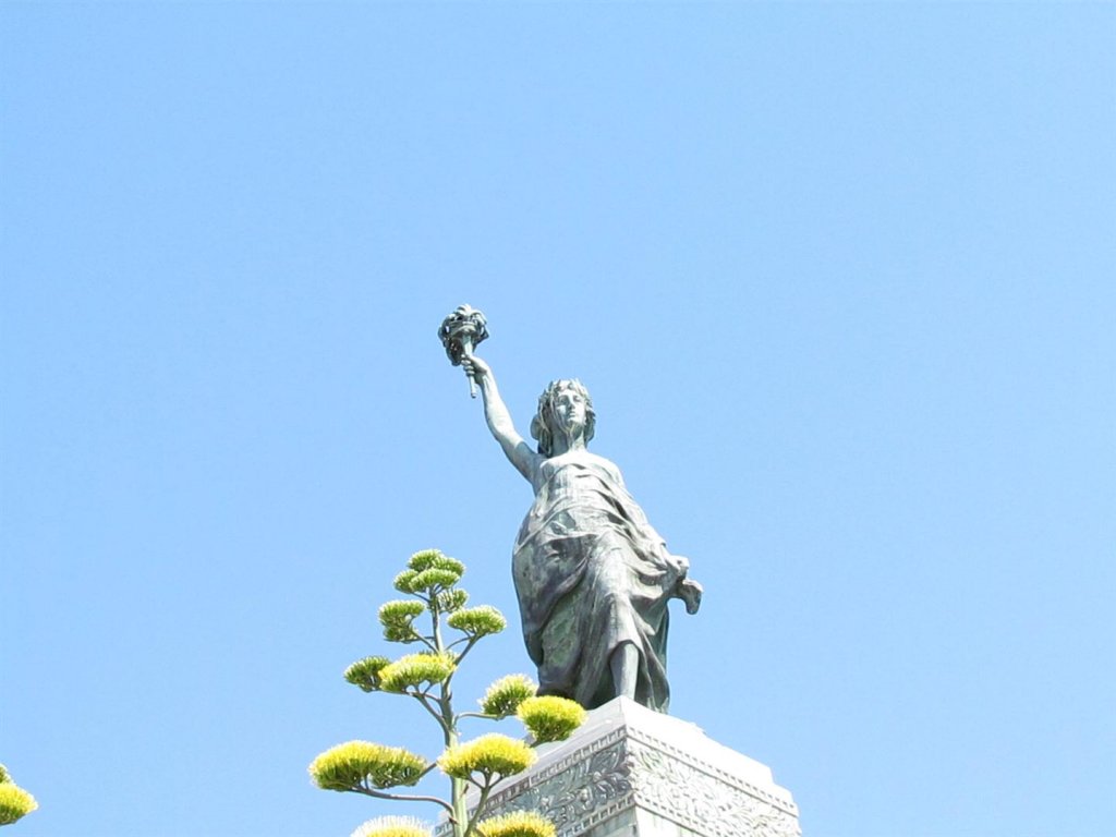 IMG_7893 (Large).JPG