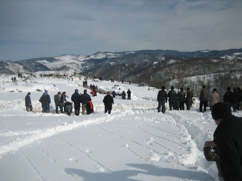 IMG_7904.jpg