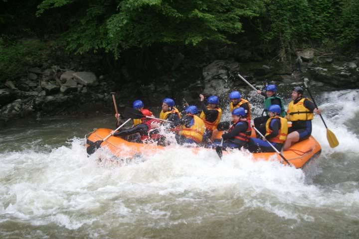 IMG_7907.jpg