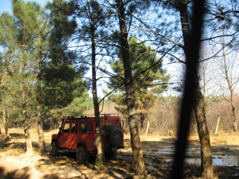 IMG_7911.jpg