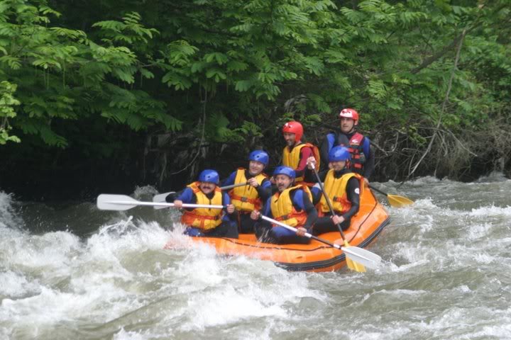 IMG_7911.jpg