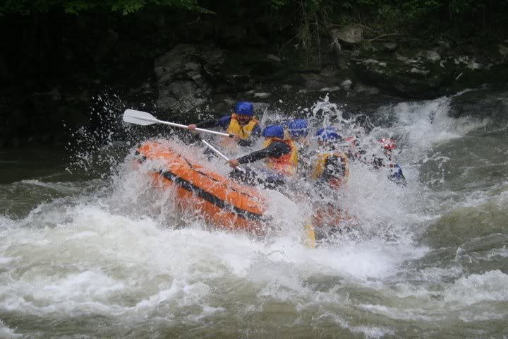 IMG_7919.jpg