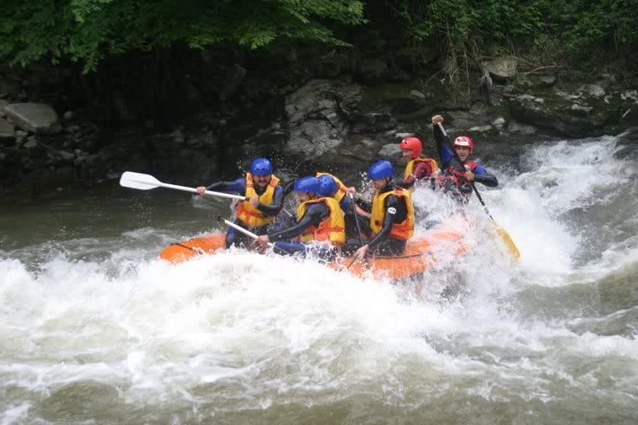 IMG_7920.jpg