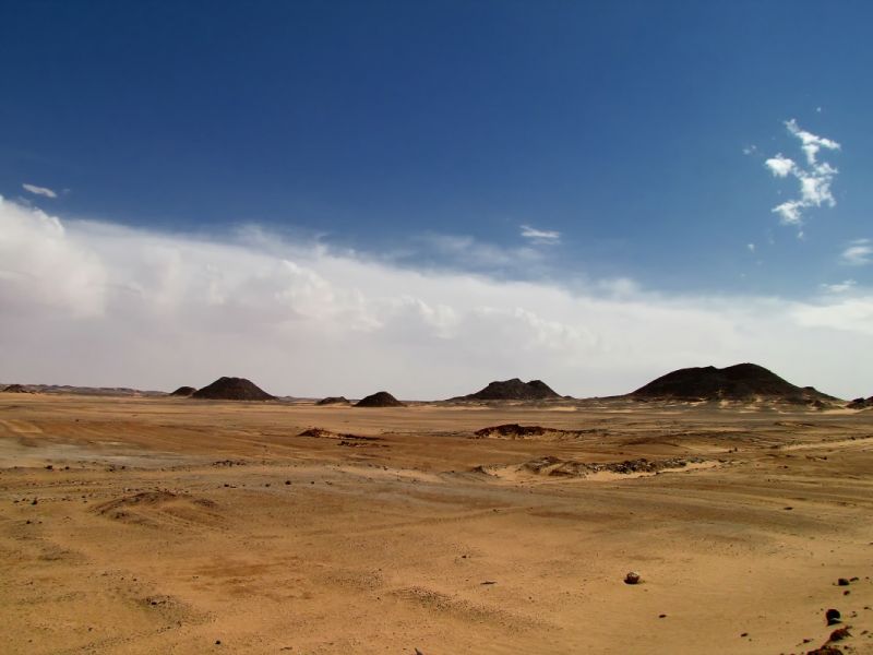 IMG_7946p.jpg
