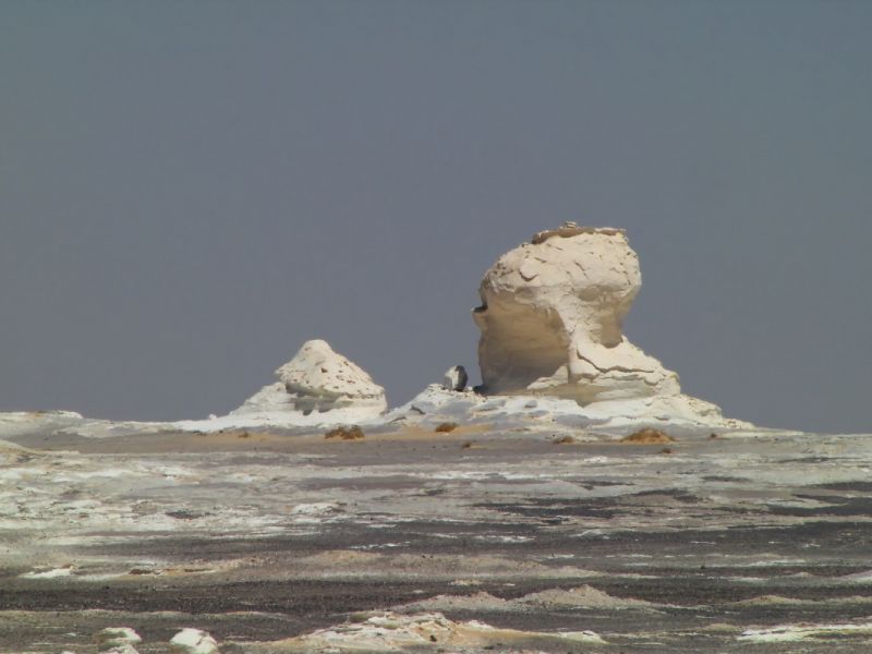 IMG_8040p.jpg