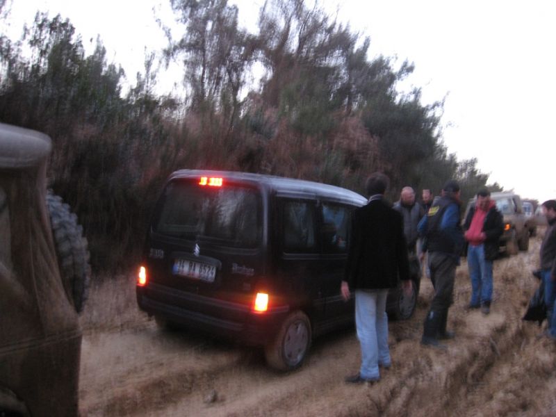 IMG_8073.jpg