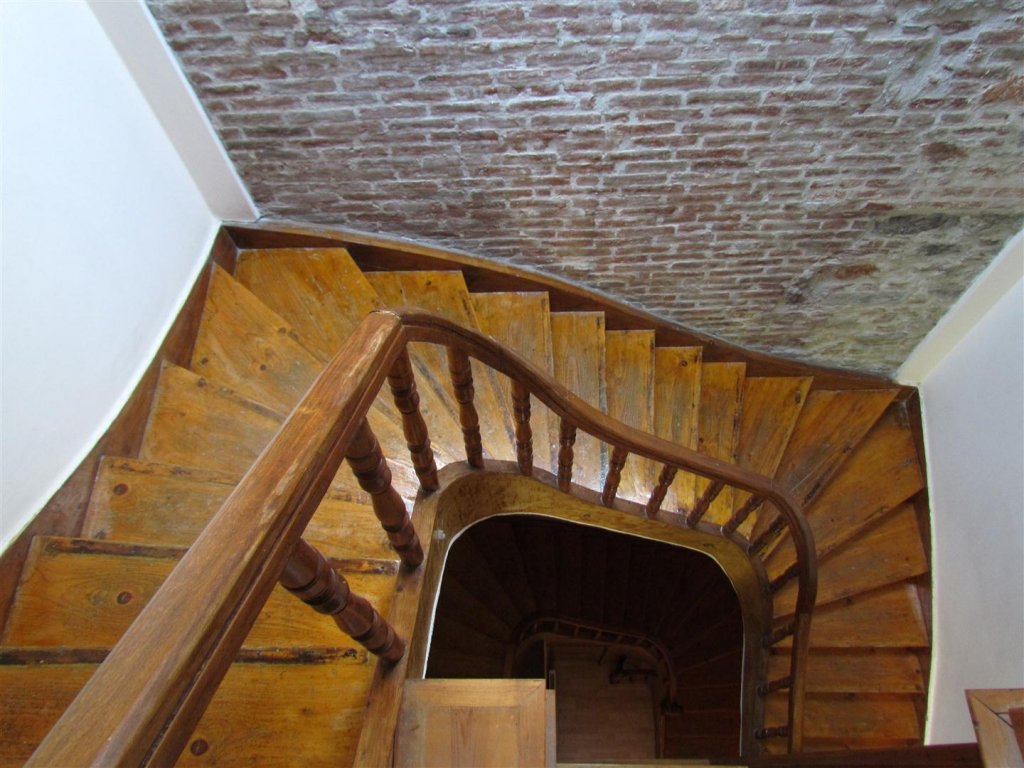 IMG_8074 (Large).JPG