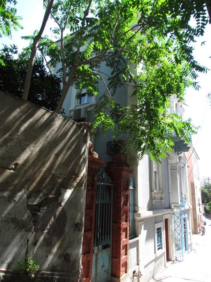 IMG_8081 (Large).JPG