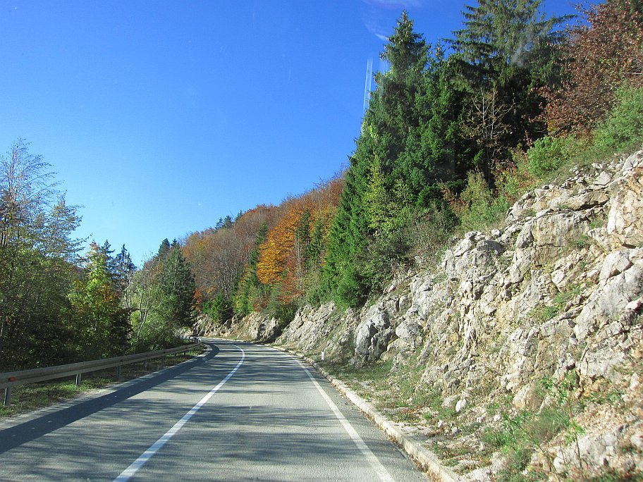 IMG_8322.jpg