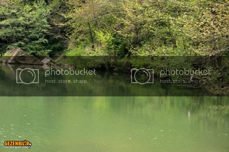 IMG_8356.jpg
