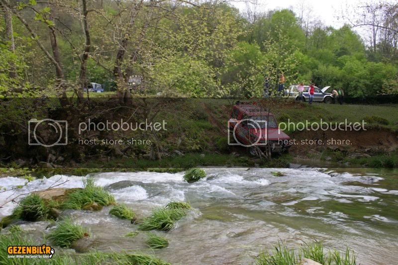 IMG_8398.jpg