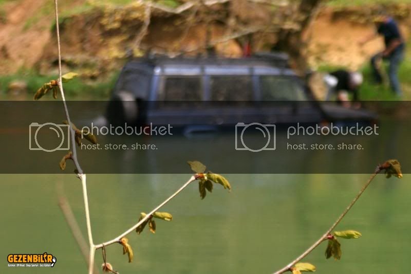 IMG_8461.jpg