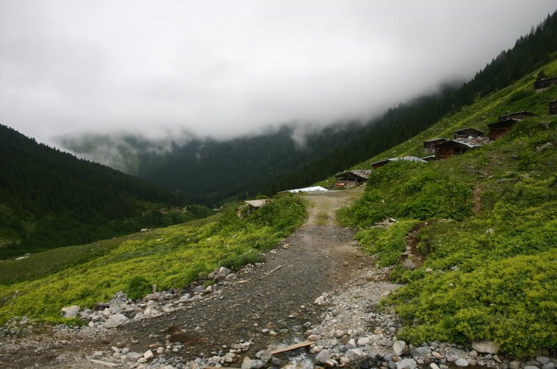 IMG_8485.jpg
