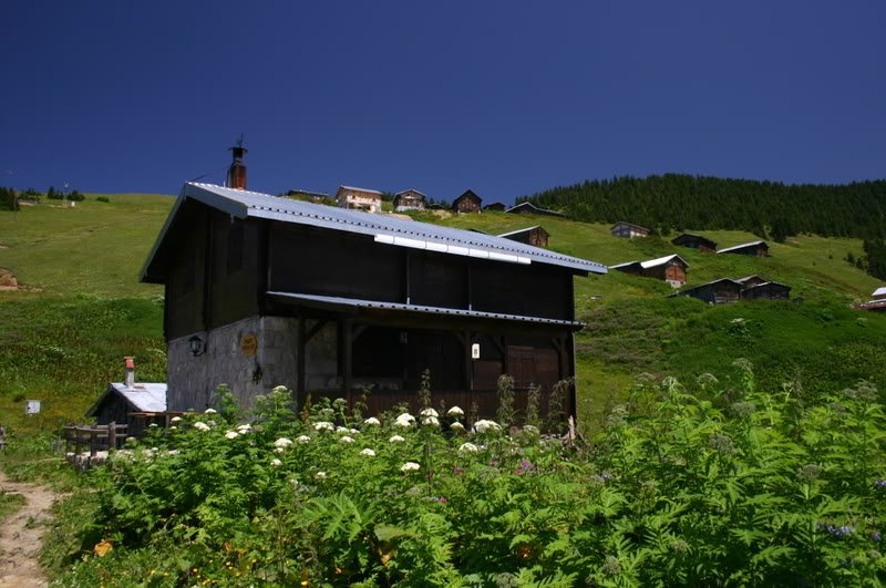 IMG_8504.jpg