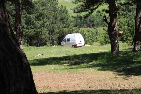 IMG_8609.JPG