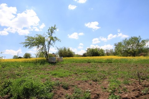 IMG_8613.JPG
