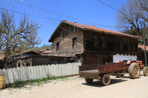 IMG_8623.JPG