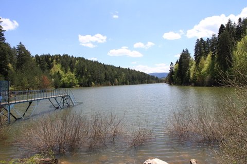 IMG_8677.JPG