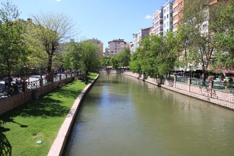 IMG_8705-1.JPG