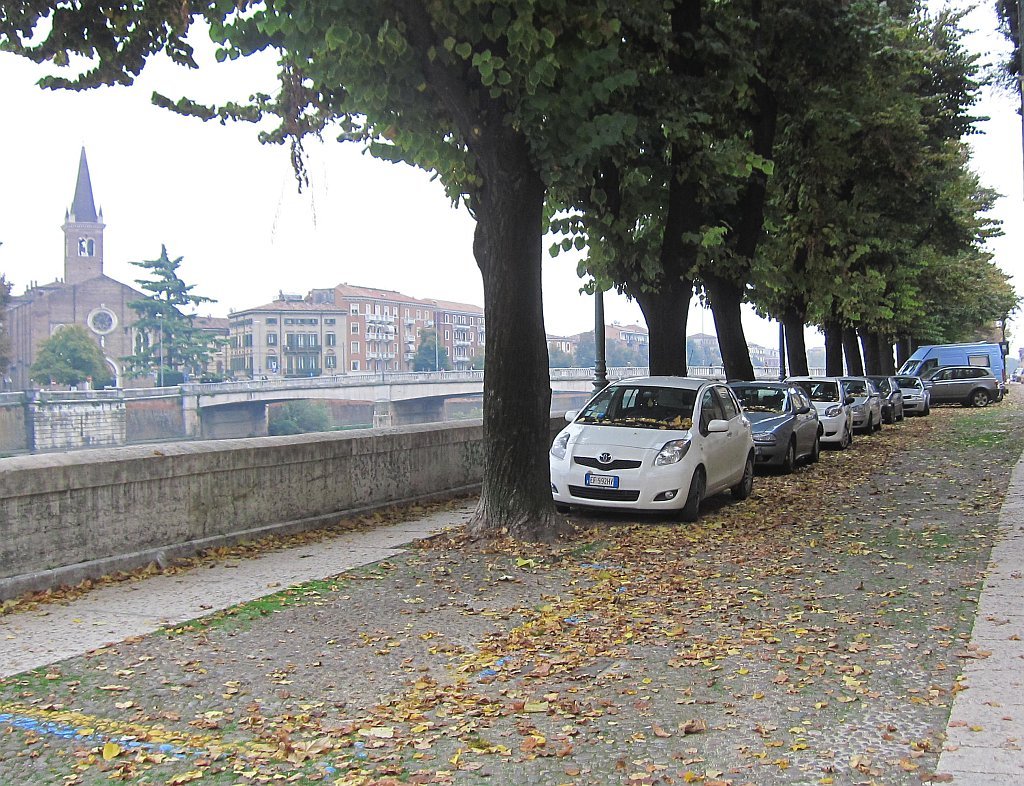 IMG_8715.jpg