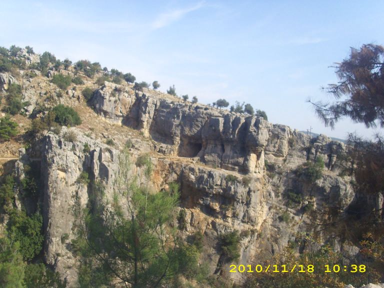 IMG_8726.jpg