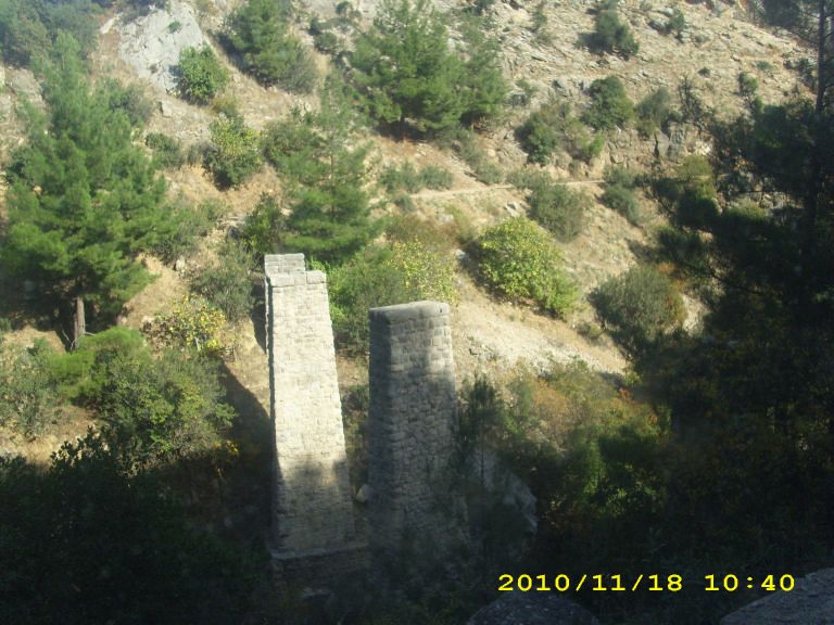 IMG_8733.jpg
