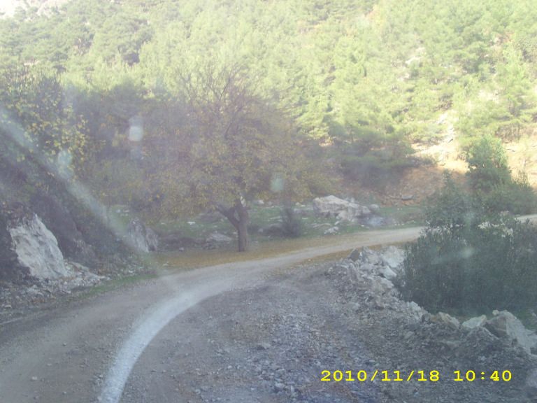 IMG_8734.jpg