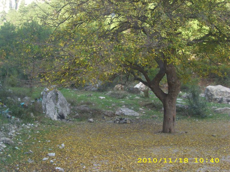 IMG_8735.jpg
