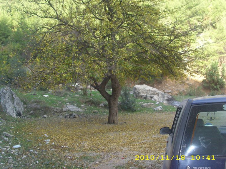 IMG_8736.jpg