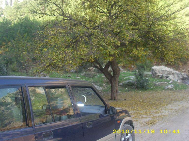 IMG_8737.jpg