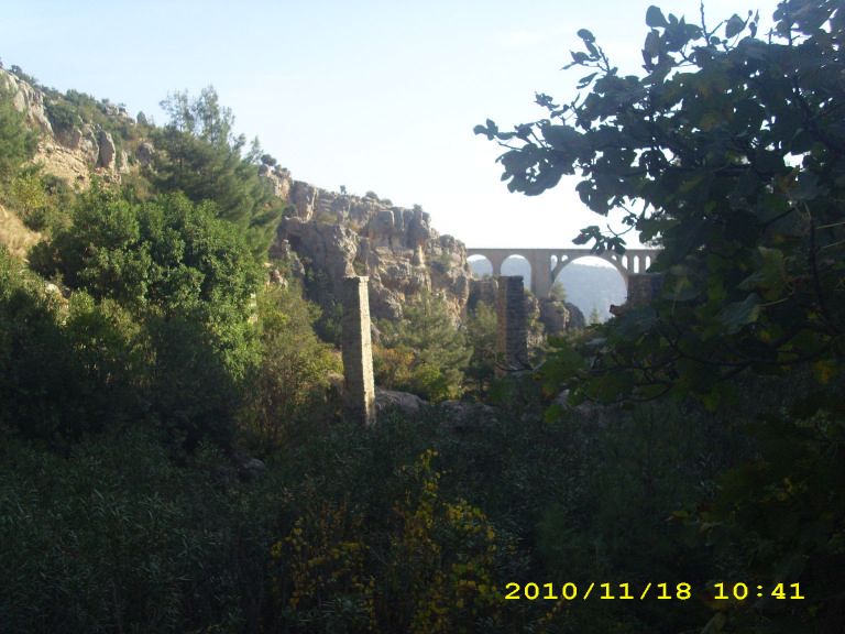 IMG_8738.jpg