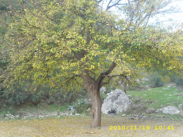 IMG_8739.jpg