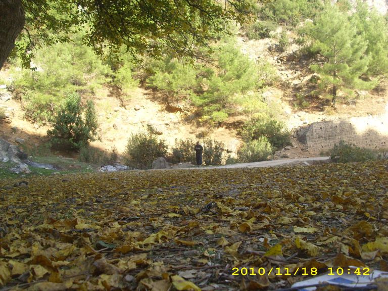 IMG_8742.jpg