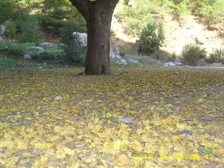 IMG_8743.jpg