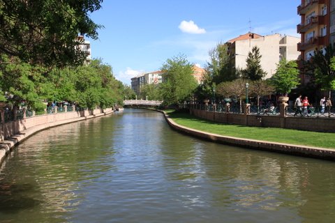 IMG_8755.JPG
