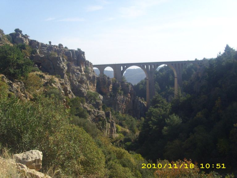 IMG_8763.jpg